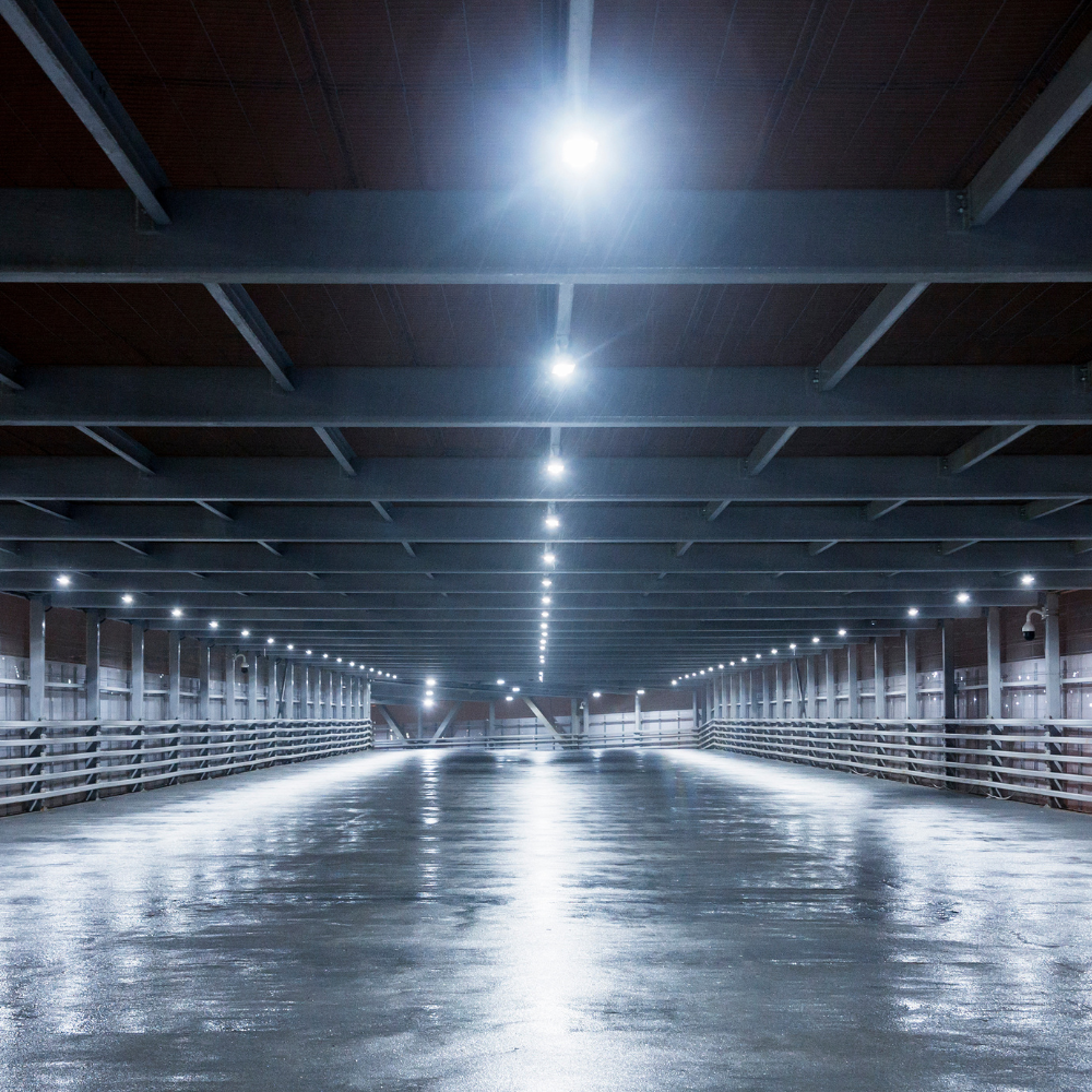 10er-Pack LED-Highbay, Hallenstrahler rund, grau, 100 W, 10000 lm, CCT 3000-6500 K (warm-, neutral-, kaltweiß), IP65.