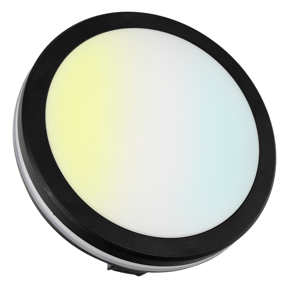 Moderne LED-Deckenlampe, schwarz/weiß, rund, 20 W, 2000 lm, Lichtfarbe einstellbar, Ø20 cm, IP65-wassergeschützt, Schnellverbinder, Innen- und Außenlampe