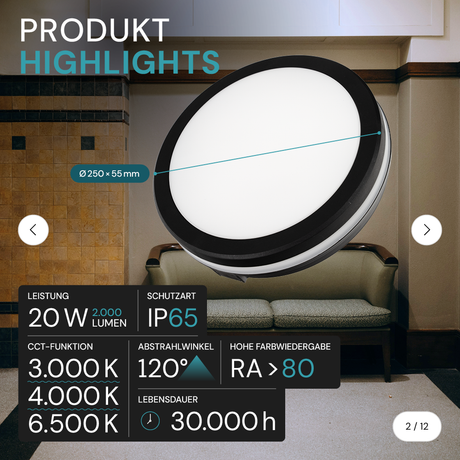Moderne LED-Deckenlampe, schwarz/weiß, rund, 20 W, 2000 lm, Lichtfarbe einstellbar, Ø20 cm, IP65-wassergeschützt, Schnellverbinder, Innen- und Außenlampe