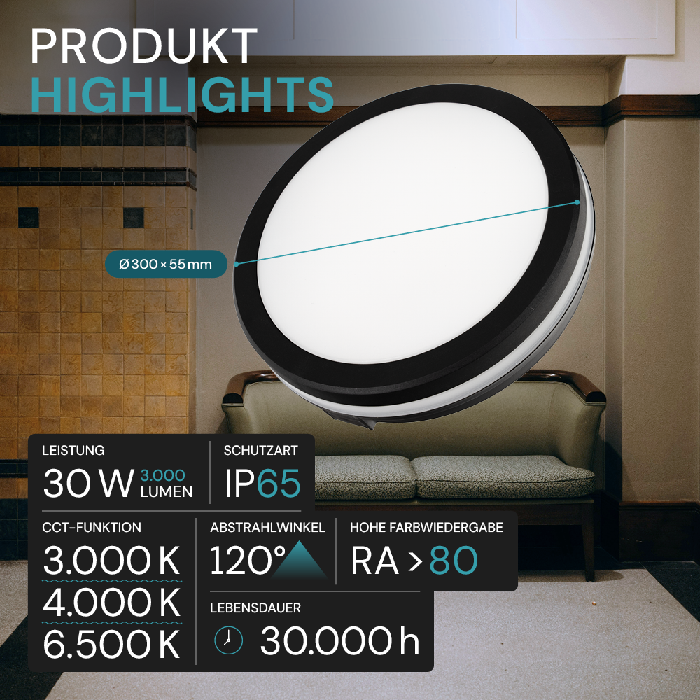 Moderne LED-Deckenlampe, schwarz/weiß, rund, 30 W, 3000 lm, Lichtfarbe einstellbar, Ø30 cm, IP65-wassergeschützt, Schnellverbinder, Innen- und Außenlampe