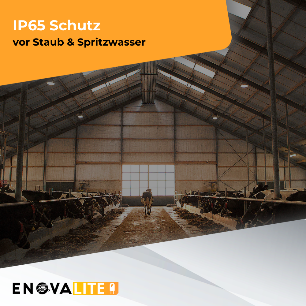 LED-HighBay, UFO, einstellbare Leistung und Lichtfarbe, 60/80/100W, 3000/4000/6500K, 9600-16000 lm, 160lm/W, IP65, LIFUD Netzteil