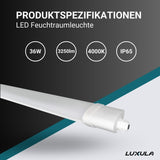 LED Feuchtraumleuchte, 36W, 3250lm, 4000K, 1200mm, IP65, mit Quick Connector  Lichttechnik24.de.