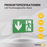 LED-Fluchtwegleuchte mit Fernbedienung, Notausgang mit Notstromeinheit, TEST-Funktion, Wandmontage, Ein- und Aufbau, IP65  Lichttechnik24.de.