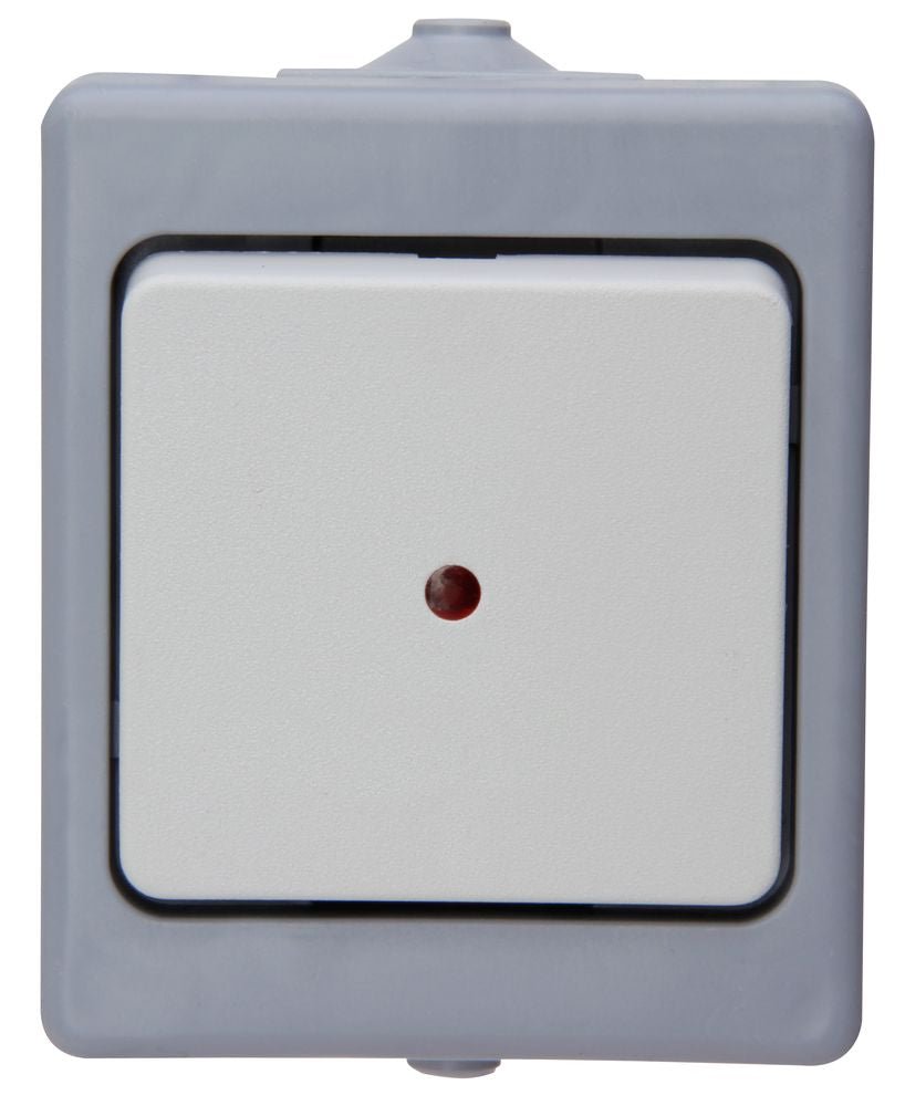 STANDARD, Kontrollschalter, AP, grau.