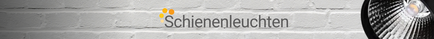 Schienenleuchten