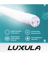 10er Pack LED T8 Röhre, 60 cm, 120 lm/W, 9 W, 1080 lm, 6000 K (kaltweiß), mit Brücke
