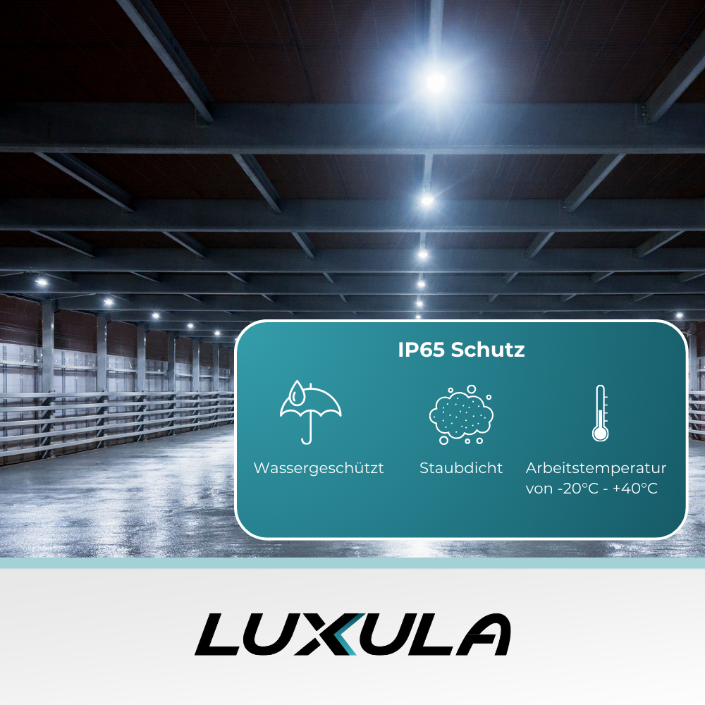 10er-Pack LED-Highbay, Hallenstrahler rund, grau, 100 W, 10000 lm, CCT 3000-6500 K (warm-, neutral-, kaltweiß), IP65