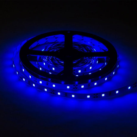 LED-Streifen, 24W, 12V, 1200lm, 5m, 60 LEDs/m, blau.