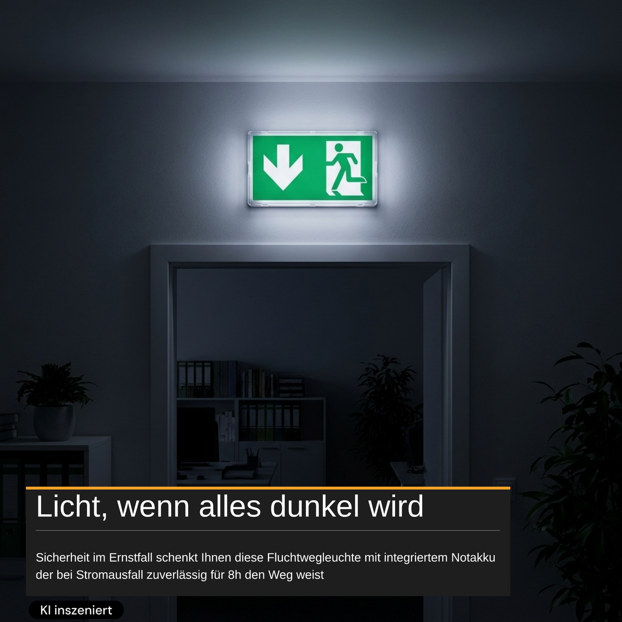 LED-Fluchtwegleuchte mit 8h Notstromakku, TEST-Funktion, Dauer- & Notbetrieb, IP65