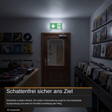 LED-Fluchtwegleuchte mit 8h Notstromakku, TEST-Funktion, Dauer- & Notbetrieb, IP65