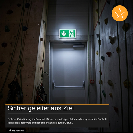 LED-Fluchtwegleuchte mit Notstromakku 3h, TEST-Funktion, Dauer- und Notbetrieb, IP65