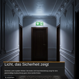 LED-Fluchtwegleuchte mit Notstromakku 3h, TEST-Funktion, Dauer- und Notbetrieb, IP65
