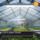 LED Feuchtraumleuchte mit Notlicht, 150 cm, 50 W, 5500 lm, neutralweiß, IP66, durchschleifbar