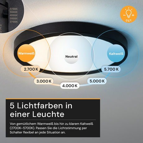 LED CCT Panel, Ein-/Aufbau, Schwarz, 18 W, 1800 lm, Ø215 mm, 5CCT (2700 K– 5700 K), Lochdurchm. variabel, Anschlussbox.