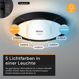 LED CCT Panel, Ein-/Aufbau, Bewegungssensor, Schwarz, 12 W, 1200 lm, Ø165 mm, 5CCT (2700 K– 5700 K), Lochdurchm. variabel, Anschlussbox