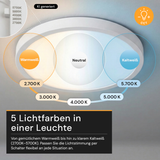 LED CCT Panel, Ein-/Aufbau, Bewegungssensor, 24 W, 2400 lm, Ø290 mm, 5CCT (2700 K– 5700 K), Lochdurchm. variabel, Anschlussbox