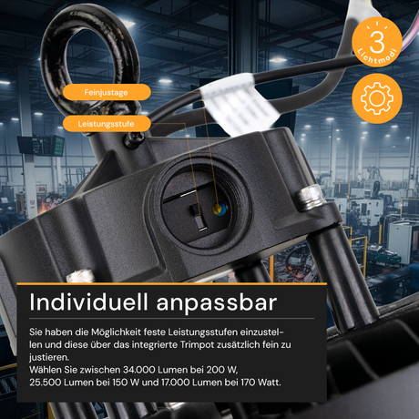 LED-Hallenstrahler, 200 W, 34000 lm, 4000 K, schwarz, Ø 30 cm, anpassbare Leistung, dimmbar