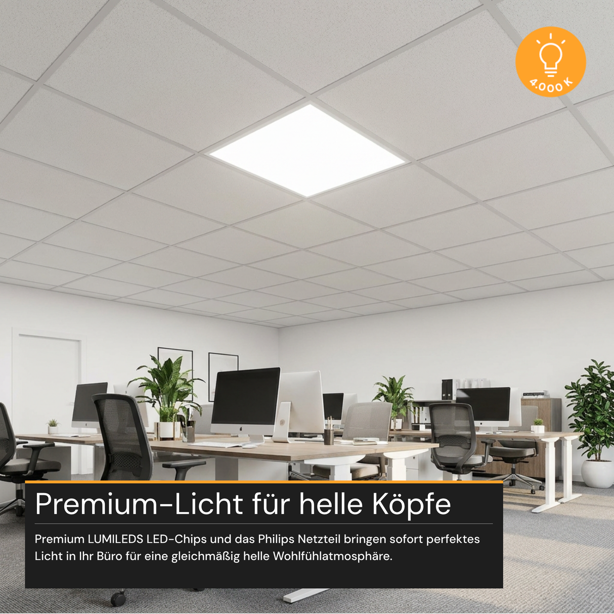 LED Panel, 62x62 cm, 36 W, 3600 lm, 4000 K (neutralweiß)