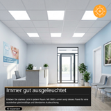 LED Panel, 62x62 cm, 36 W, 3600 lm, 6000 K (kaltweiß)