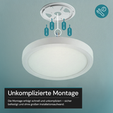 LED Panel, Ø30 cm, weiß, rund, 22 W, 2200 lm, Lichtfarbe einstellbar 3000 – 6500 K, Slim Design