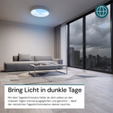 LED Sky Light, Deckenleuchte, Full Spectrum, 60W, 4800lm, IP20, ø400x40mm, 1800-12000K (CCT), weiß.