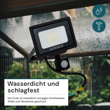 LED-Fluter mit Bewegungsmelder, 20 W, 4000 K (neutralweiß), 2000 lm, schwarz, IP65