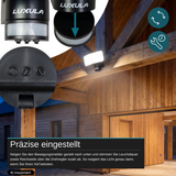 LED-Fluter, 30 W, 2.250 lm, 4.000 K, schwarz, DuoFlex, MaxiBright