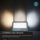LED CCT Fluter, 50 W, 3CCT(3000K-4000K-6500K), 6000 lm, IP66, IK08,  Grau.