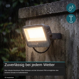 LED CCT Fluter, 50 W, 3CCT(3000K-4000K-6500K), 6000 lm, IP66, IK08,  Grau.
