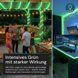 COB LED-Streifen, 50 m, grünes Licht, IP65-wassergeschützt, 288 LED/m, 220 V AC, EU-Stecker, 10 W/m, kürzbar und erweiterbar, Außen/Innen