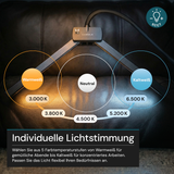 LED-Schreibtischlampe, Doppelkopf, in Schwarz, dimmbar, 5 Farbtemperaturstufen, 18 W, 1100 lm, klemm- und voll verstellbare Monitor-/Tischlampe mit kotaktlosem Ein-/Ausschaltssensor
