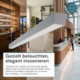 LED Büro-/Tresenleuchte, in Grau, 120 cm, 40W, 4800 lm, 3000-6500 K (CCT), EAGLERISE Netzteil