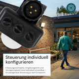 Plug-In Sensor für LX400155, LX400156, LX400157