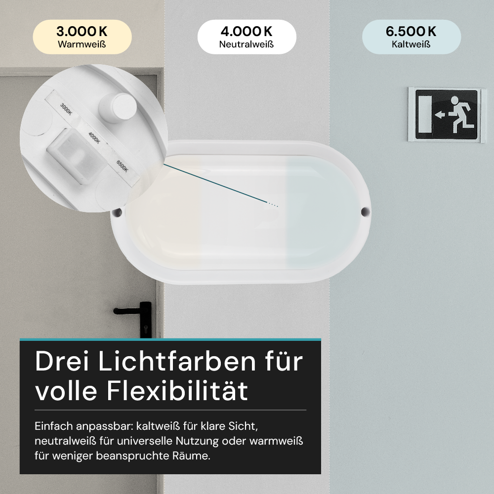 Kellerlampe in Weiß, Ovalleuchte, 12 W, 1080 lm, Lichtfarbe einstellbar (CCT), IP54-wassergeschützt, Kabelverbinder, Wandleuchte Innen und Außen, Feuchtraumleuchte