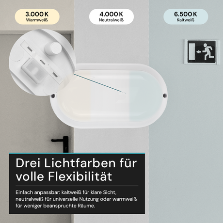 Kellerlampe in Weiß, Ovalleuchte, 12 W, 1080 lm, Lichtfarbe einstellbar (CCT), IP54-wassergeschützt, Kabelverbinder, Wandleuchte Innen und Außen, Feuchtraumleuchte