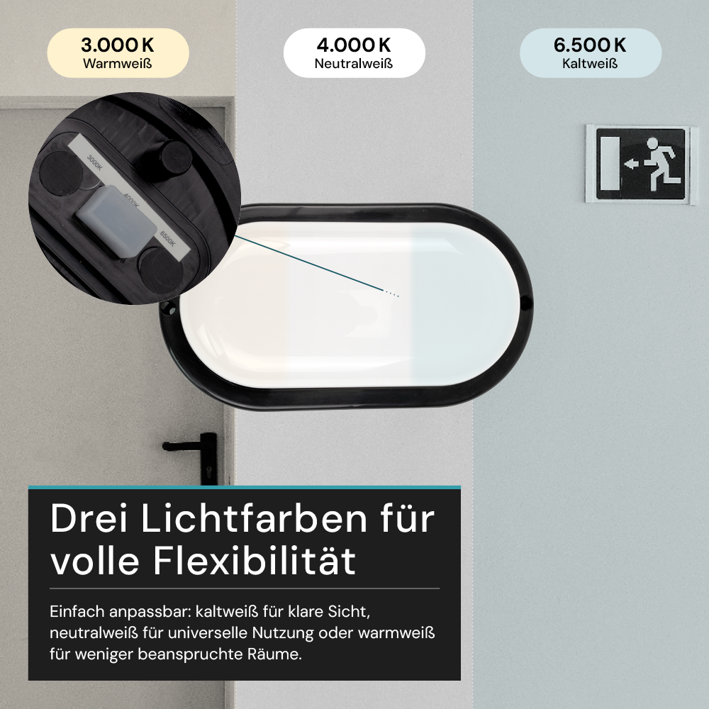 Kellerlampe in Schwarz, Ovalleuchte, 12 W, 1080 lm, Lichtfarbe einstellbar (CCT), IP54-wassergeschützt, Kabelverbinder, Wandleuchte Innen und Außen, Feuchtraumleuchte