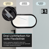Kellerlampe in Schwarz, Ovalleuchte, 12 W, 1080 lm, Lichtfarbe einstellbar (CCT), IP54-wassergeschützt, Kabelverbinder, Wandleuchte Innen und Außen, Feuchtraumleuchte