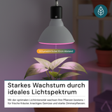 LED Pflanzenlampe E27, 18 W, Vollspektrum Grow Light, 322 μmol/m²/s bei 10 cm, für Keimung, Wachstum & Zimmerpflanzen, 1200 K (Warmweiß)