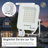 LED-Fluter, 30 W, 6000 K, IP65, Bewegungsmelder