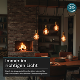 LED Filament Leuchtmittel, Vintage Dekoleuchte, Bulb A60, E27, 2.3W, 65lm, 1800K, dimmbar