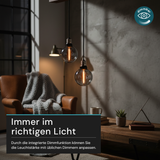 LED Filament Leuchtmittel, LINE, Smoke, Globe G80, E27, 2W, 40lm, 1800K, dimmbar