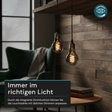 LED Filament Leuchtmittel, SPIRAL, Bulb A60, E27, 4W, 40lm, 1800K, dimmbar