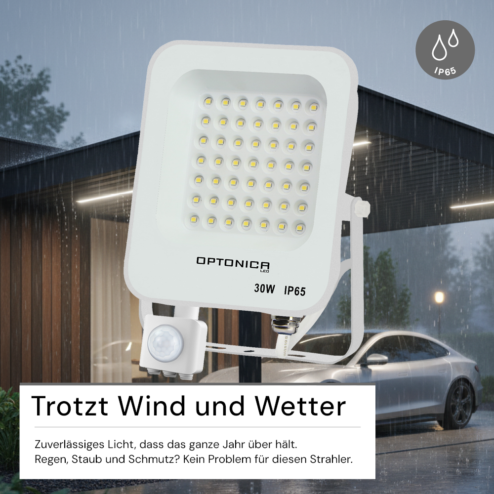 LED-Fluter, 30 W, 6000 K, IP65, Bewegungsmelder
