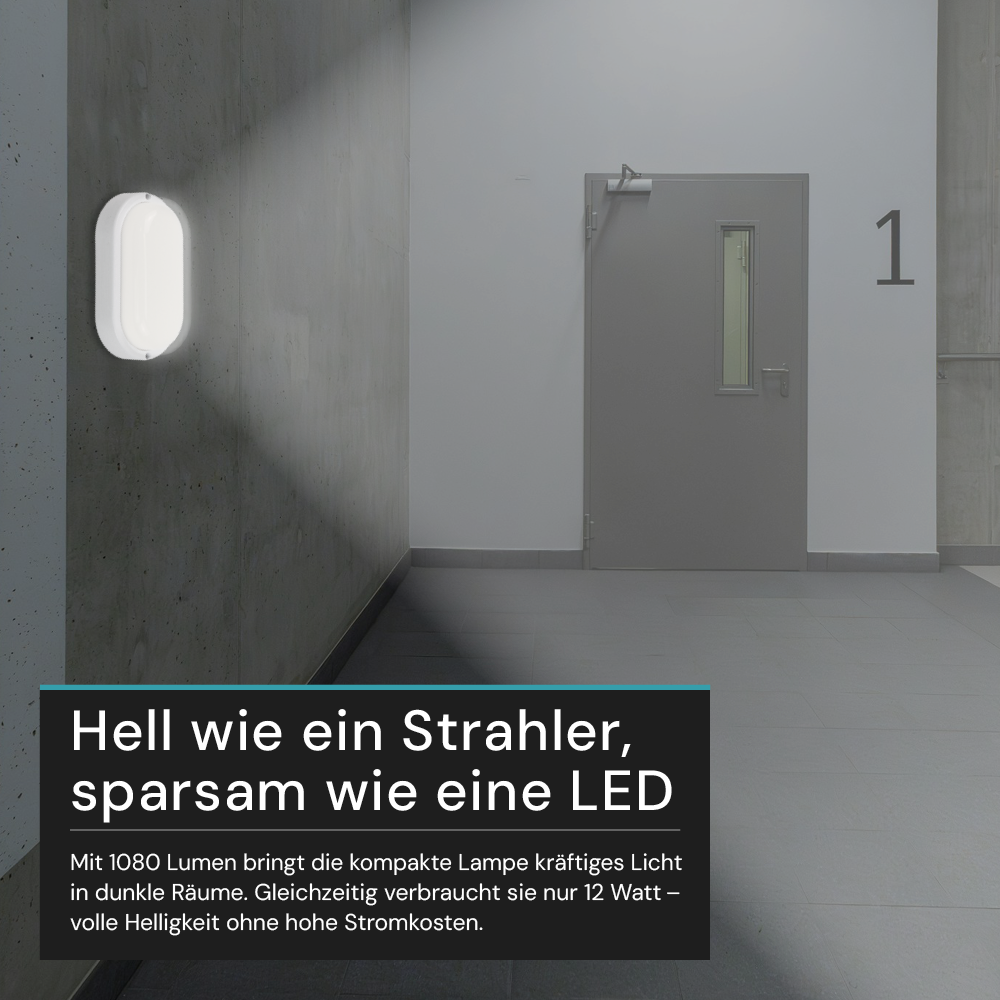 Kellerlampe in Weiß, Ovalleuchte, 12 W, 1080 lm, Lichtfarbe einstellbar (CCT), IP54-wassergeschützt, Kabelverbinder, Wandleuchte Innen und Außen, Feuchtraumleuchte