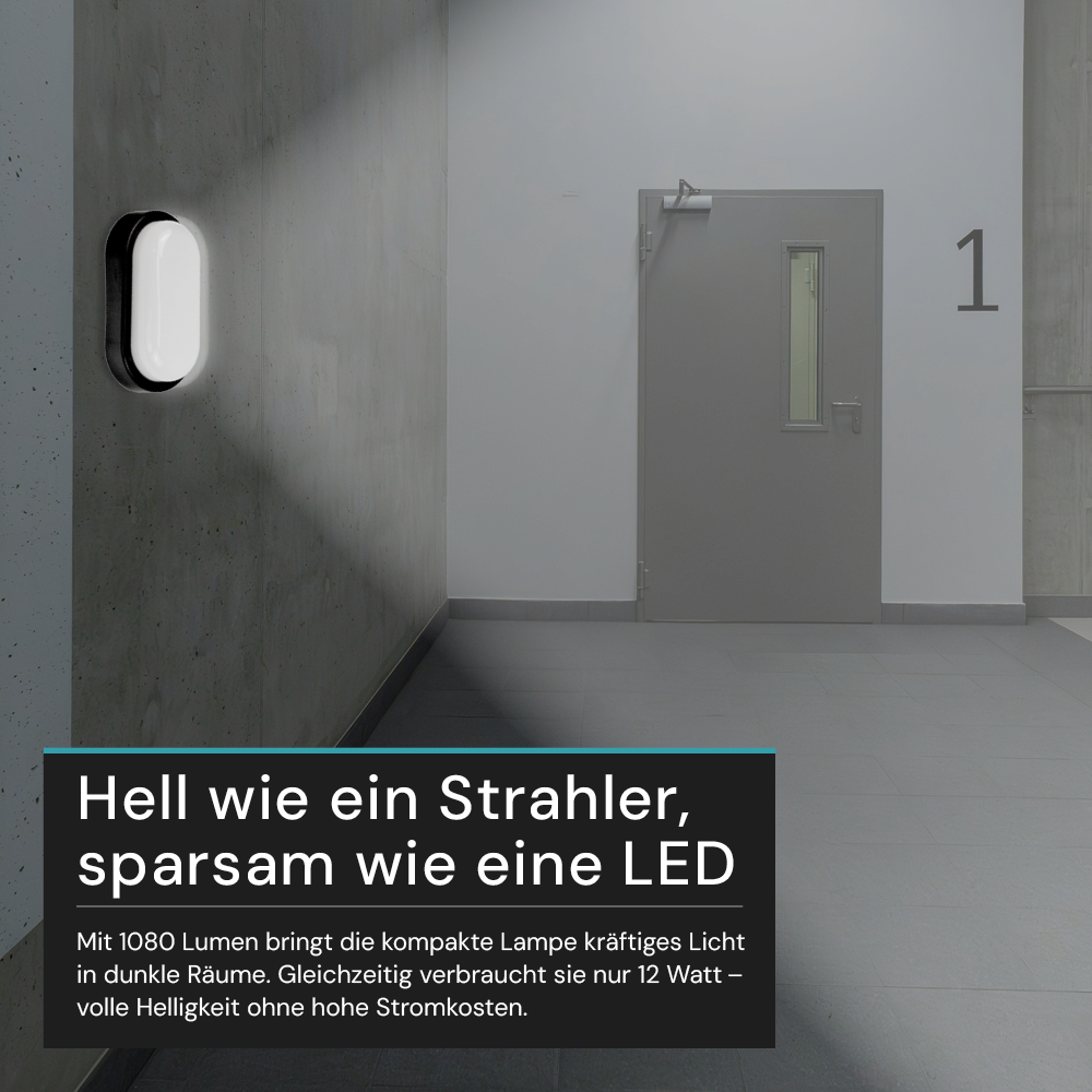 Kellerlampe in Schwarz, Ovalleuchte, 12 W, 1080 lm, Lichtfarbe einstellbar (CCT), IP54-wassergeschützt, Kabelverbinder, Wandleuchte Innen und Außen, Feuchtraumleuchte