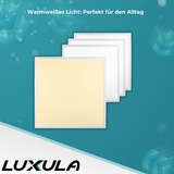 6er-Pack LED BackLit Panel, 62x62 cm, 36W, 3600lm, 3000K, ECO Line