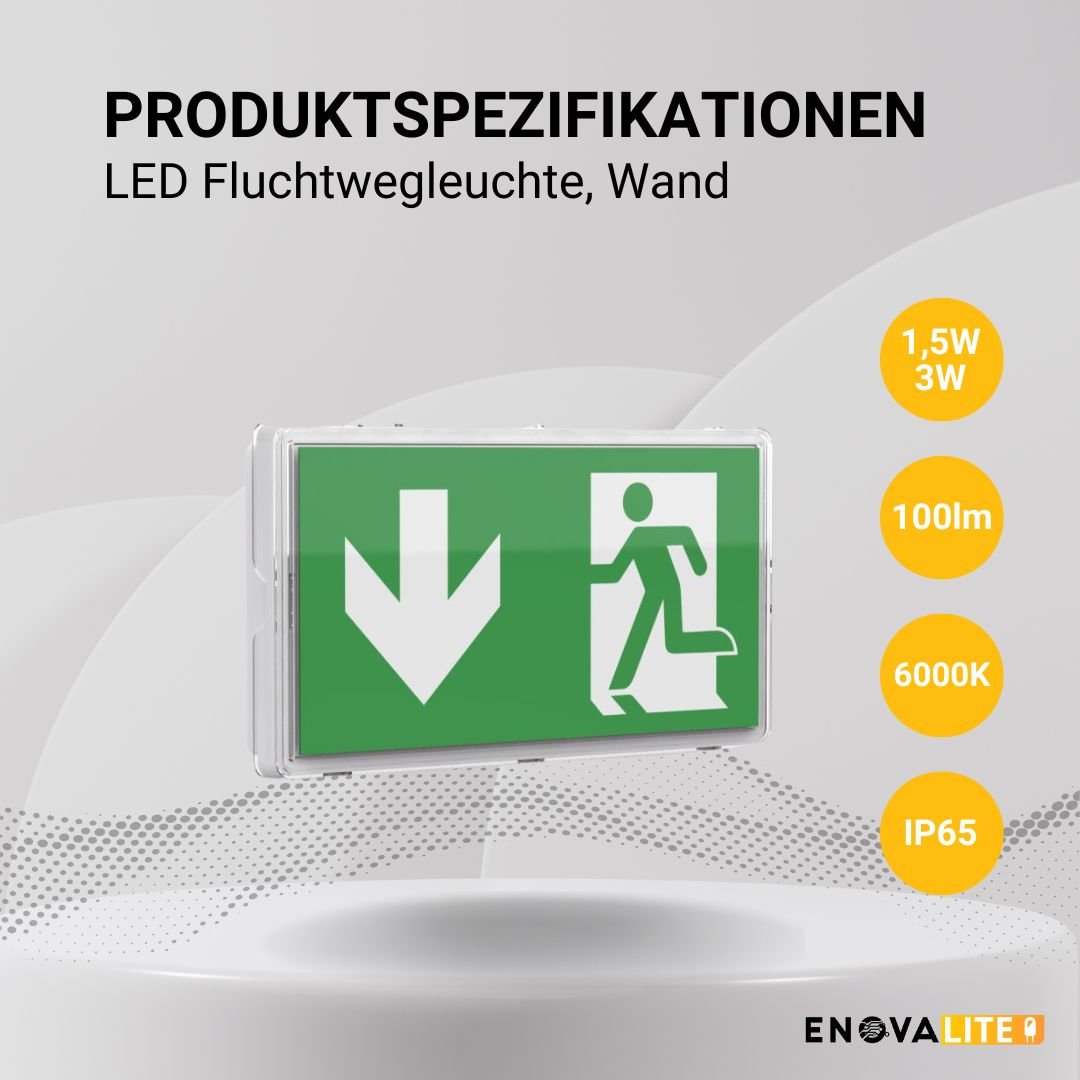 LED-Fluchtwegleuchte, Notausgang mit Notstromeinheit, TEST-Funktion, Wandmontage, Ein- und Aufbau, IP65 - Lichttechnik24.de