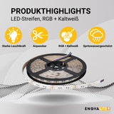 LED-Streifen, RGB und kaltweißes Licht, 5 Meter Länge, IP54, 60LED/m, 12 V, 10 mm  Lichttechnik24.de.